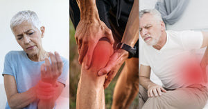 Suplemento Joint Ease Plus