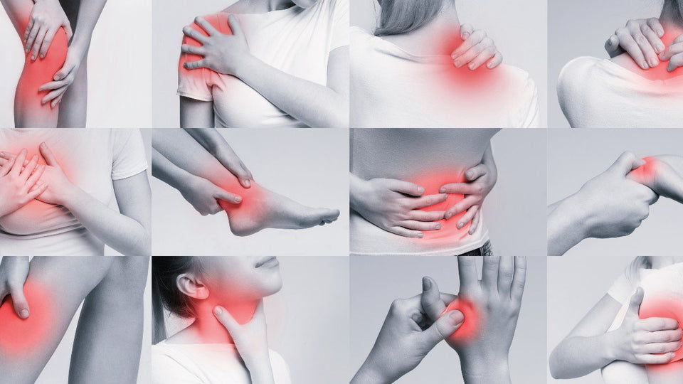Suplemento Joint Ease Plus